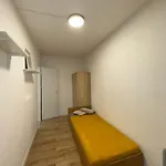 Jednoosobowy Do Wynajecia W Mieszkaniu Capsule hotel Warsaw